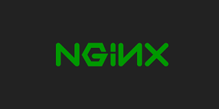 Nginx2-1
